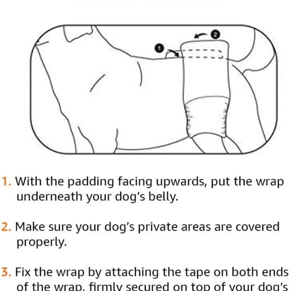 Amazon Basics Male Dog Wrap, Disposable Diapers-Medium 30 in Box